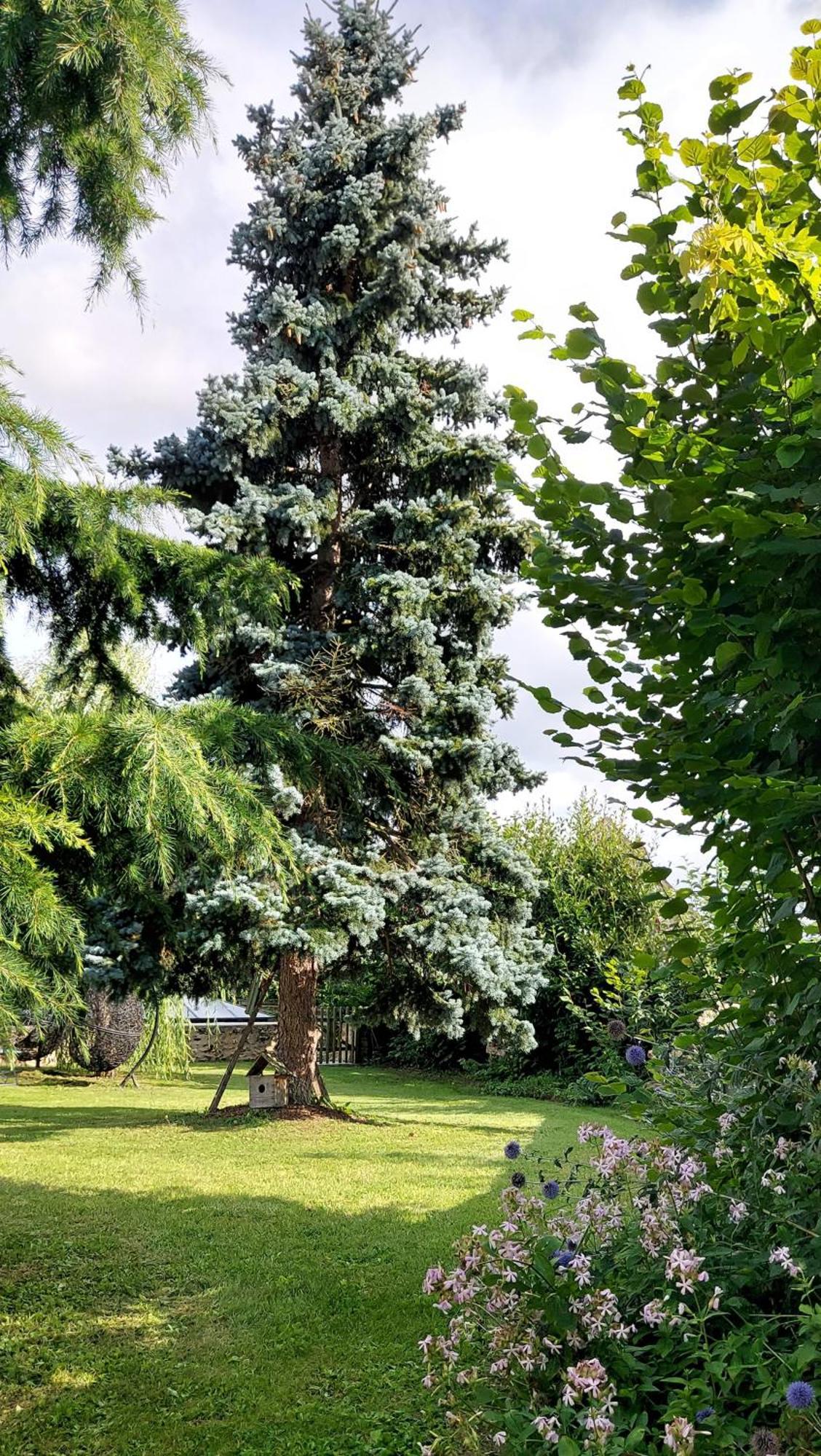 La Bergerie-En-Vexin Bed & Breakfast Jambville Екстериор снимка
